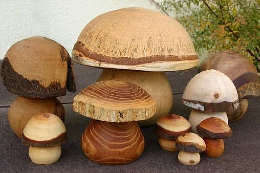 Nejlepší nápady pro nadšené houbaře 4