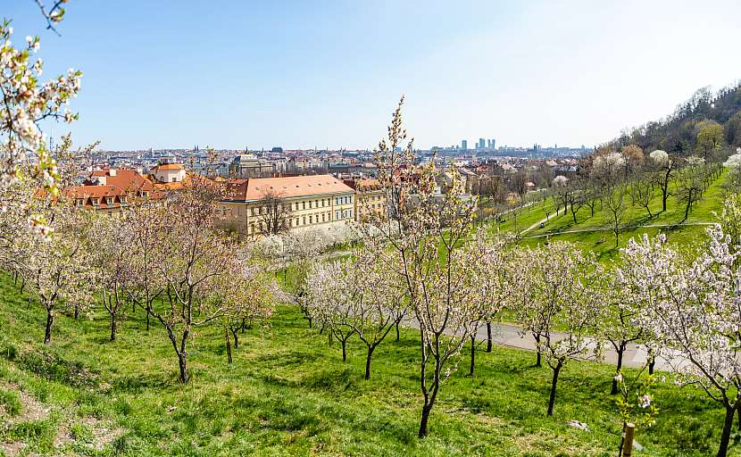 Nenechte si ujít nejkrásnější vyhlídku Prahy v době, kdy vše kvete