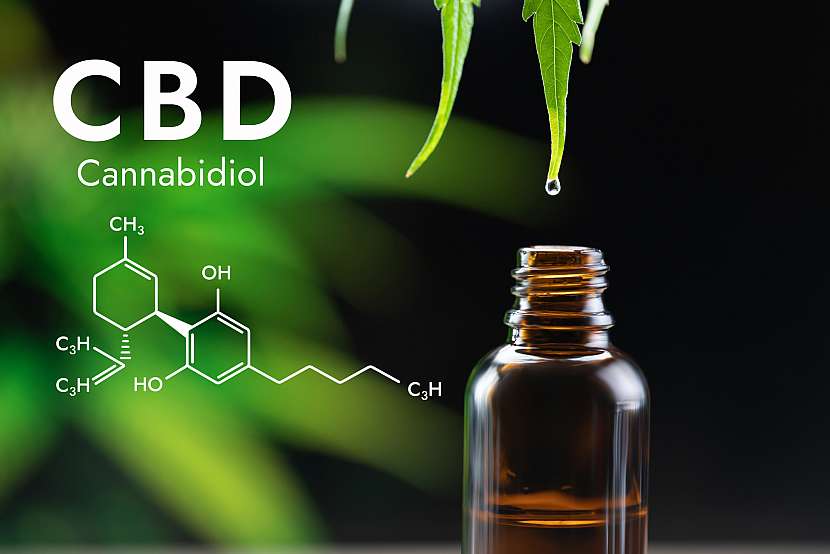 CBD stimuluje v mozku neurotransmiter, který zklidňuje činnost neuronů a podporuje relaxaci