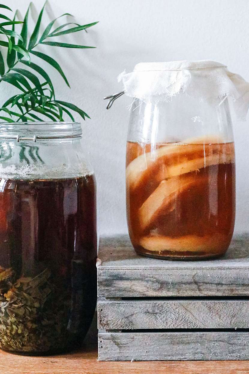 Kombucha posiluje imunitu organismu