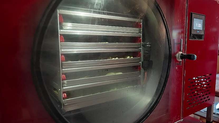 Jablka se suší ve speciálním přístroji 