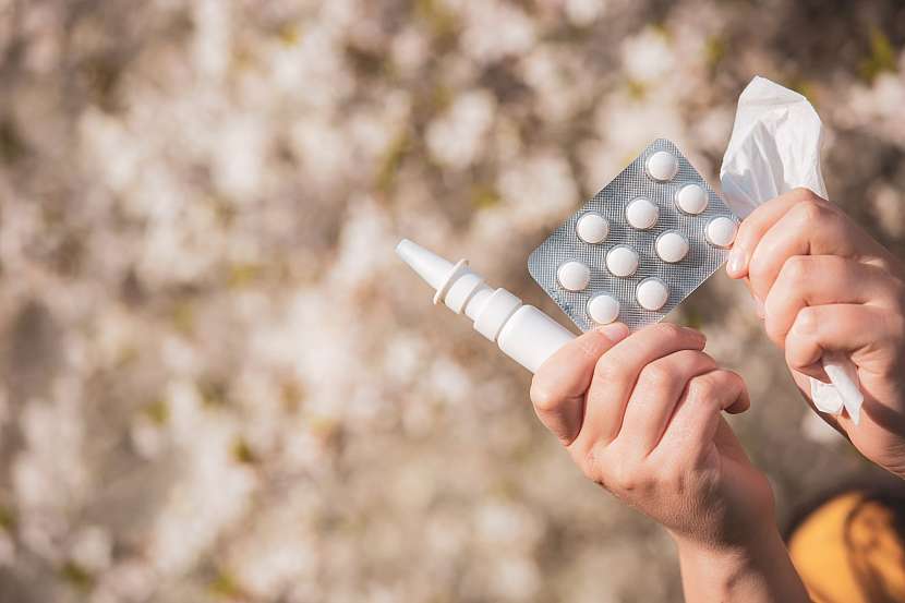 Alergici bývají na pylovou sezónu vybaveni léky