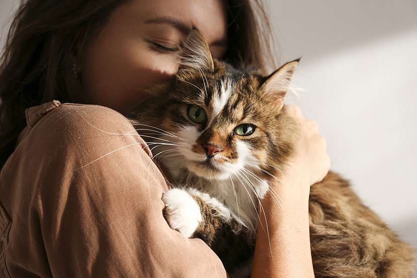 Jsou kočky páni a lidé jejich otroky? Nebo je to všechno jinak? (Zdroj: Whiskas) 