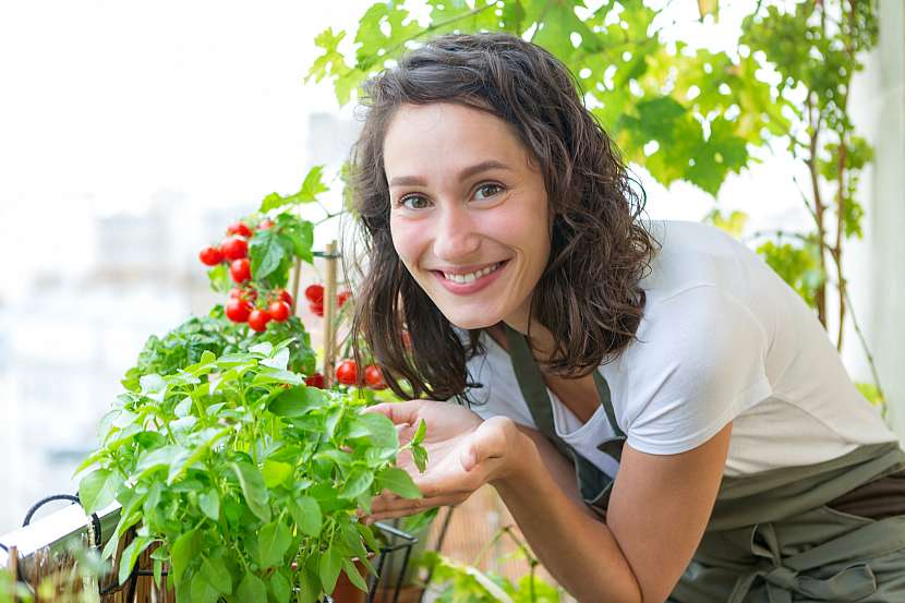 Výběr rostlin ovlivní nejen vaše preference, ale situování terasy nebo balkonu a jeho velikost
