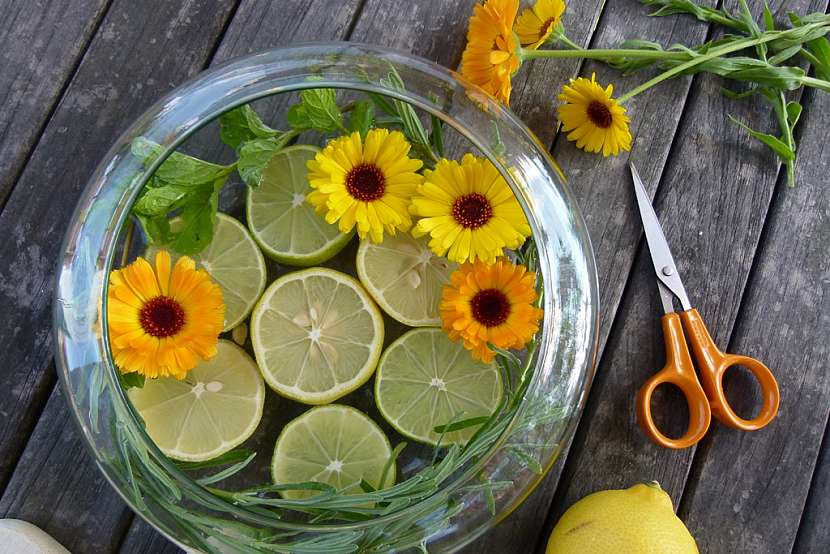 Dekorační miska s citrusy: přidejte květy měsíčku