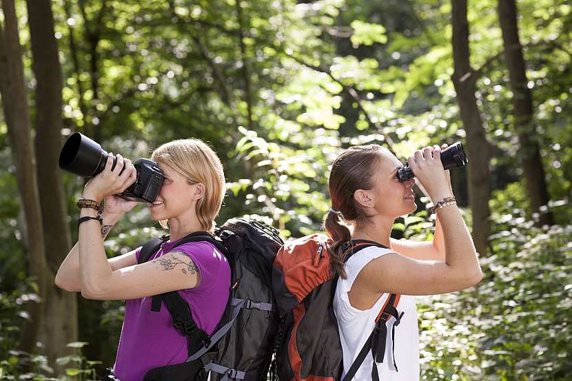 Birdwatching je skvělým koníčkem, který vás může motivovat k různým výletům (Zdroj:Depositphotos (https://cz.depositphotos.com))