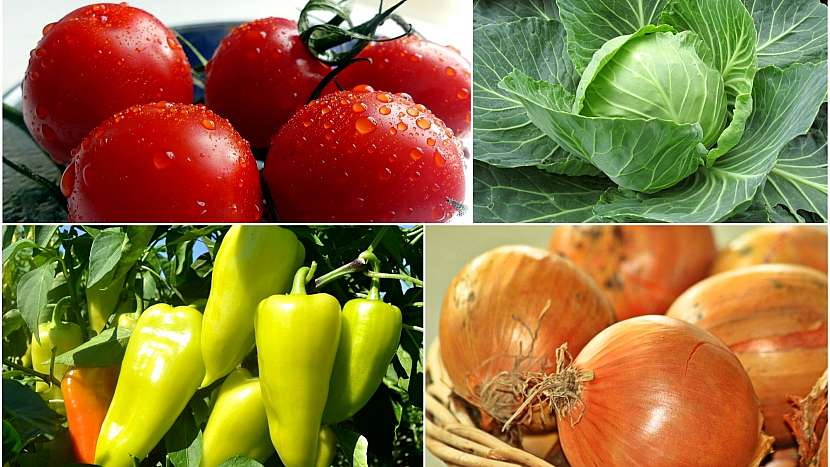 Do čalamády se hodí různé druhy zeleniny, ale hlavně cibule, papriky, rajčata a hlávkové zelí