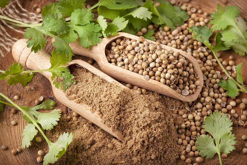 Aromatická semena jsou zdrojem zdraví i chuti (Zdroj: Depositphotos (https://cz.depositphotos.com))
