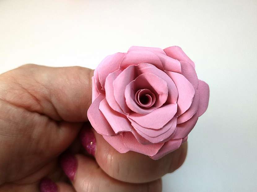 Papírová růže