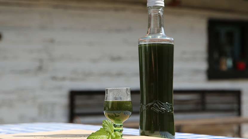 Domácí mátový likér: přidáme zelené potravinářské barvivo