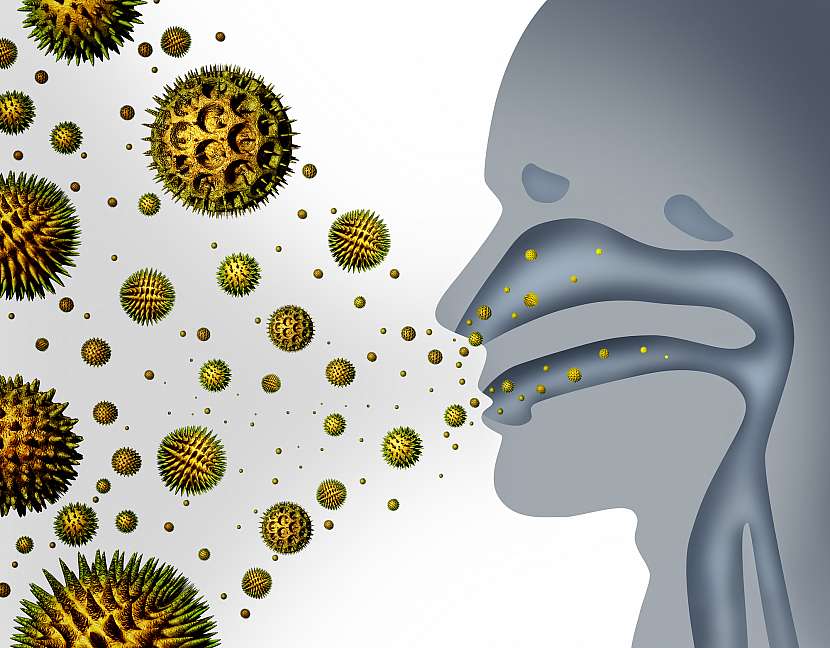 V domácnosti, kde žije alergik, dbejte na úklid a čistý vzduch