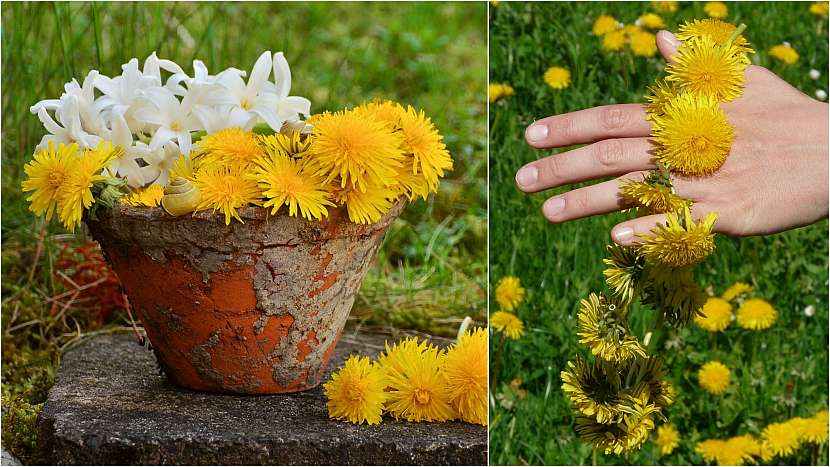 Dáme si schůzku ve čtyři hodiny?
