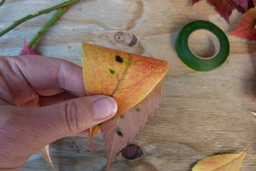 Růže z barevného podzimního listí: list přeložte