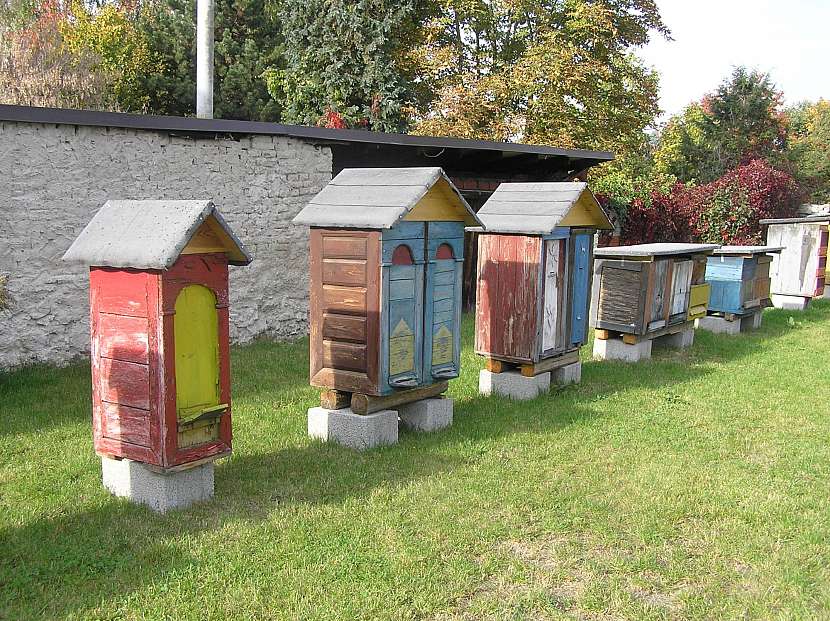 Včelařský skanzen představí včelařské úly z různých konců světa