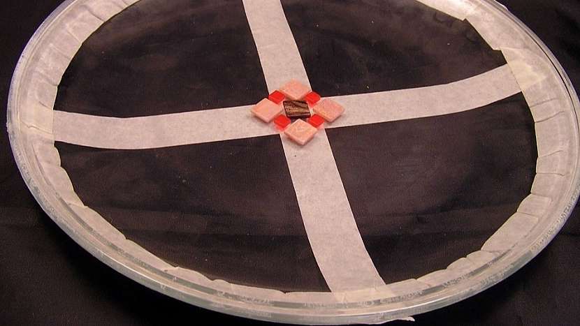 Mozaikový talíř: nalepte na talíř papírovou lepicí pásku