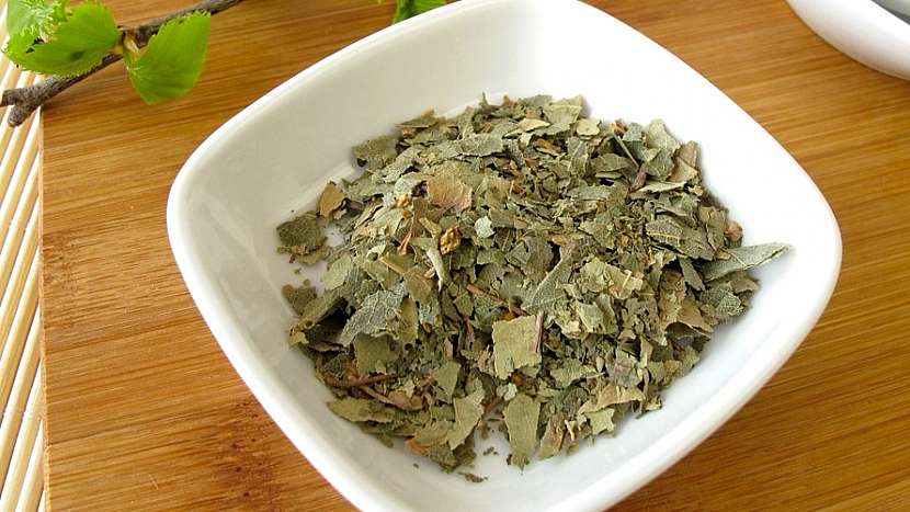 Bříza bělokorá: ze sušených listů se připravuje diuretický čaj