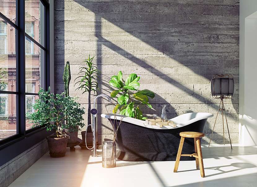 I v koupelně můžete pěstovat rostliny, jen si musíte vybrat ty správné (Zdroj: Depositphotos (https://cz.depositphotos.com))