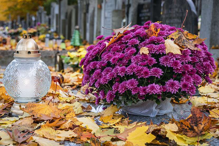 Hroby se spadaným listím vypadají romanticky, ale z praktického pohledu se ho raději zbavte