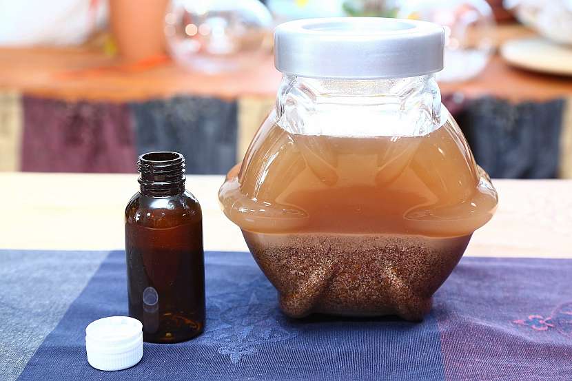 Jak si doma připravit kapičky z ostropestřce mariánského: Výborný přírodní detoxikant a antioxidant 3