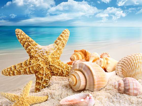 otevřít: Suvenýry nasbírané o dovolené využijete k podzimnímu tvoření