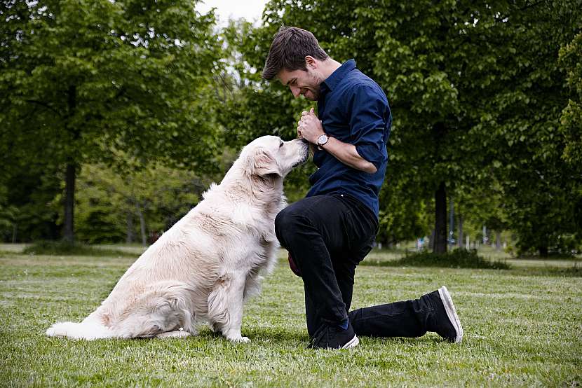 Trénink psů probíhá formou hry a odměnou jsou psovi pamlsky (Zdroj: Pedigree)
