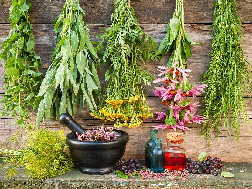 Využijte přírodní sílu bylinek. Máme pro vás tipy na jejich zpracování (Zdroj: Depositphotos (https://cz.depositphotos.com))
