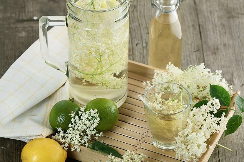 Květy černého bezu se báječně hodí pro přípravu osvěžující limonády (Zdroj: Depositphotos (https://cz.depositphotos.com))