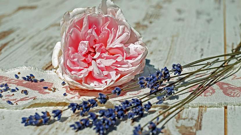 Recept na lásku: bylinná koupel s levandulí a růžovými okvětními plátky