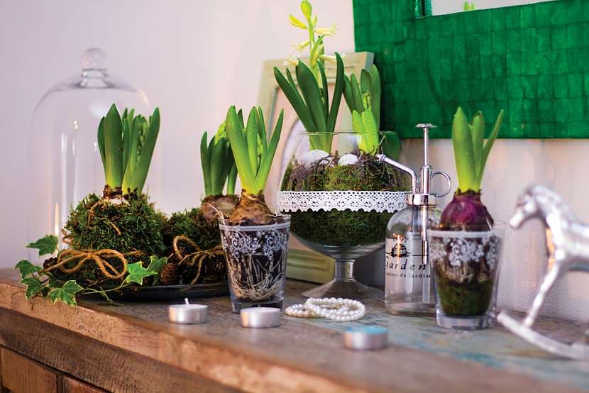 Krásné aranžmá s jarními hyacinty