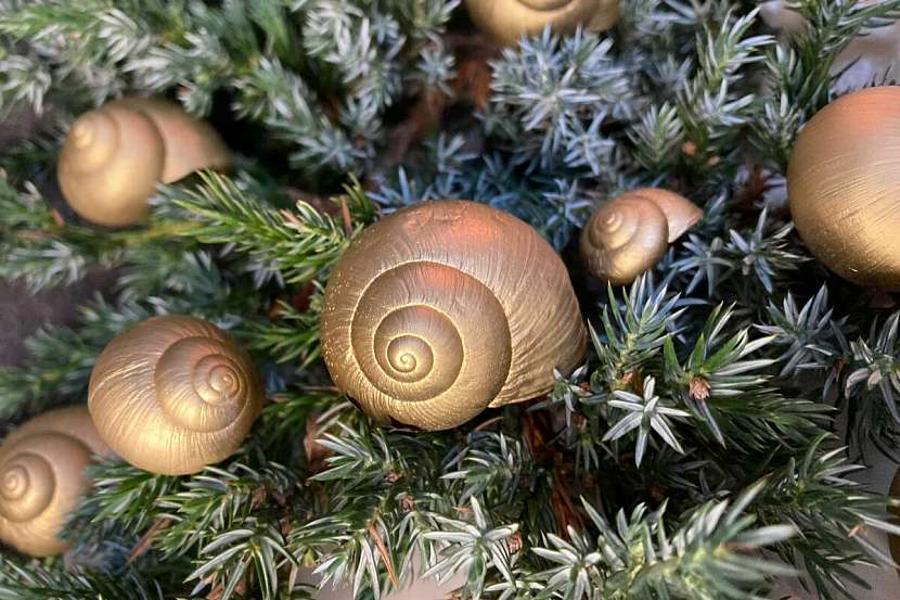 Zlaté šnečí ulity můžete vyzkoušet jako dekoraci na adventní věnec