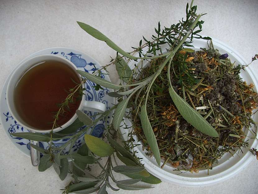 Bylinkový čaj patří do čajové atmosféry zimních večerů (Zdroj: Ludmila Dušková)