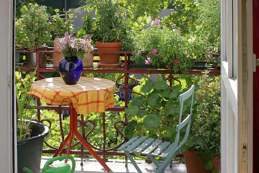 Balkon se díky syntropickému zahradničení stane oázou plnou zeleně