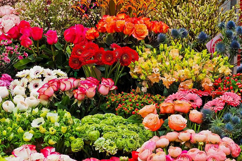 Každá květina něco znamená...