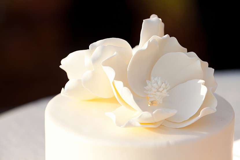 Naučte se zdobit dorty pomocí 3D forem (Zdroj: Depositphotos)