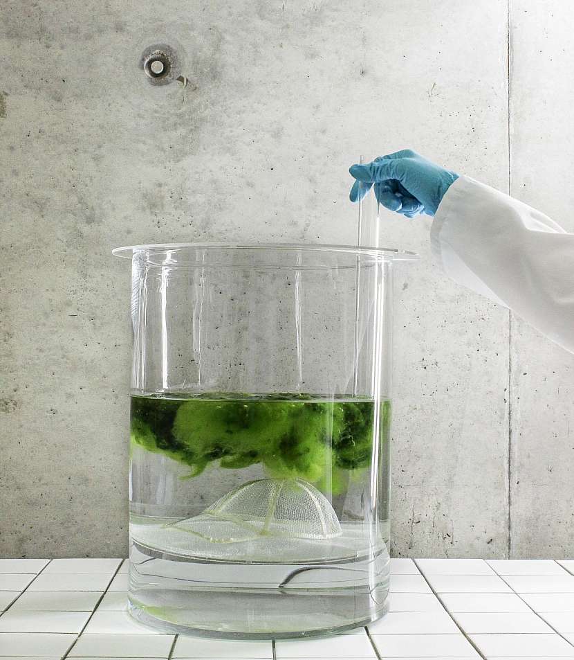 Podzimní slavnost designu