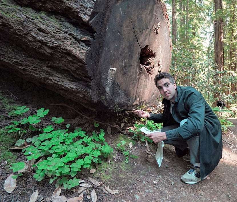 Hendrikx nazývá podhoubí recyklátorem přírody.