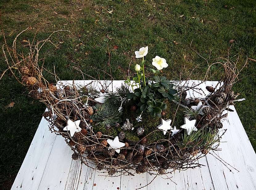 DIY exteriérové aranžmá z modřínových větviček s čemeřicí bílou