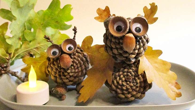 Vyrobte si roztomilou podzimní dekoraci z borových šišek (Zdroj: Kateřina Poslušná)