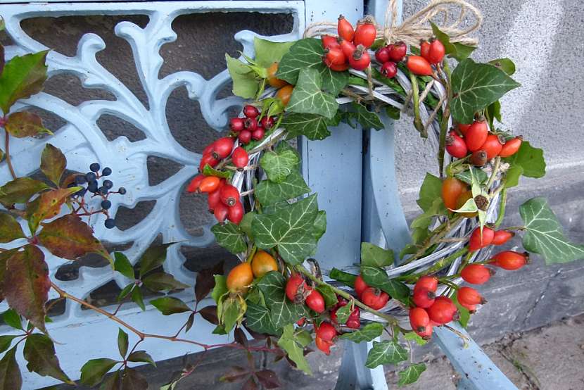 Vyrobte si podzimní dekoraci, krásný věneček se šípky (Zdroj: Simona Sedláčková)