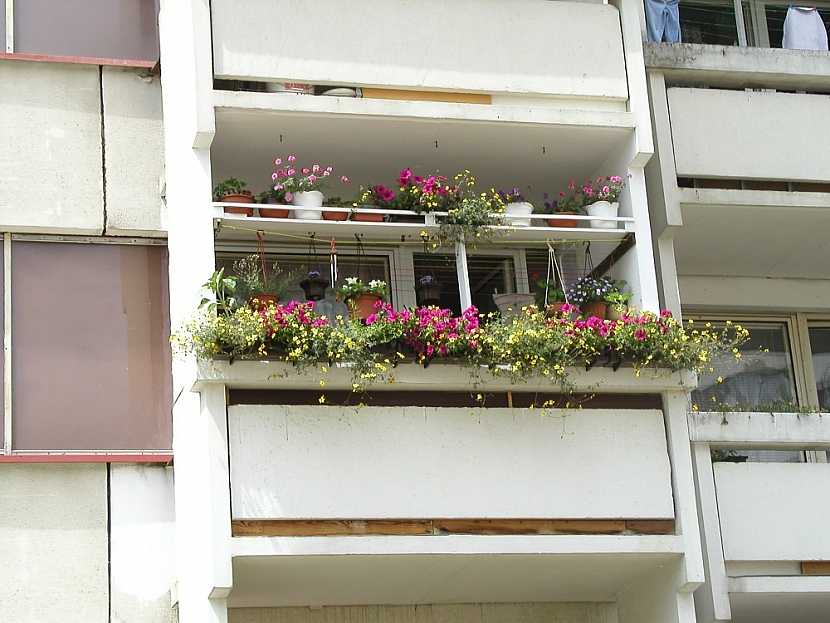 Plný balkon květin kromě estetického požitku poskytuje majitelům i svěží vůni, navíc květiny pohltí i žár a prach z ulice! Nechte se inspirovat.