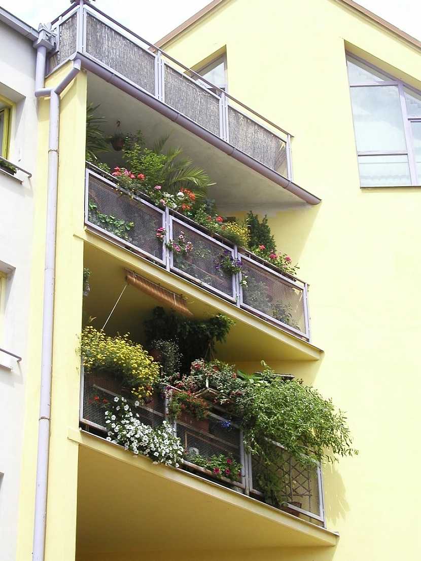 Balkony plné květin