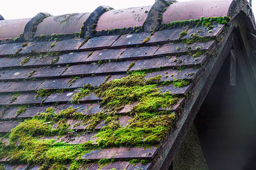 Péče o střechu znamená ji nejen opravovat, ale také čistit