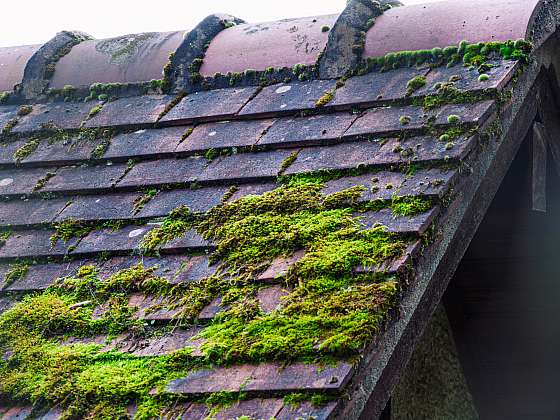 Péče o střechu znamená ji nejen opravovat, ale také čistit (Zdroj: Depositphotos (https://cz.depositphotos.com))