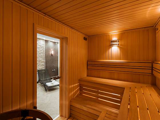 Postavte si domácí saunu a nemusíte čekat, až otevřou veřejné bazény (Zdroj: Depositphotos)