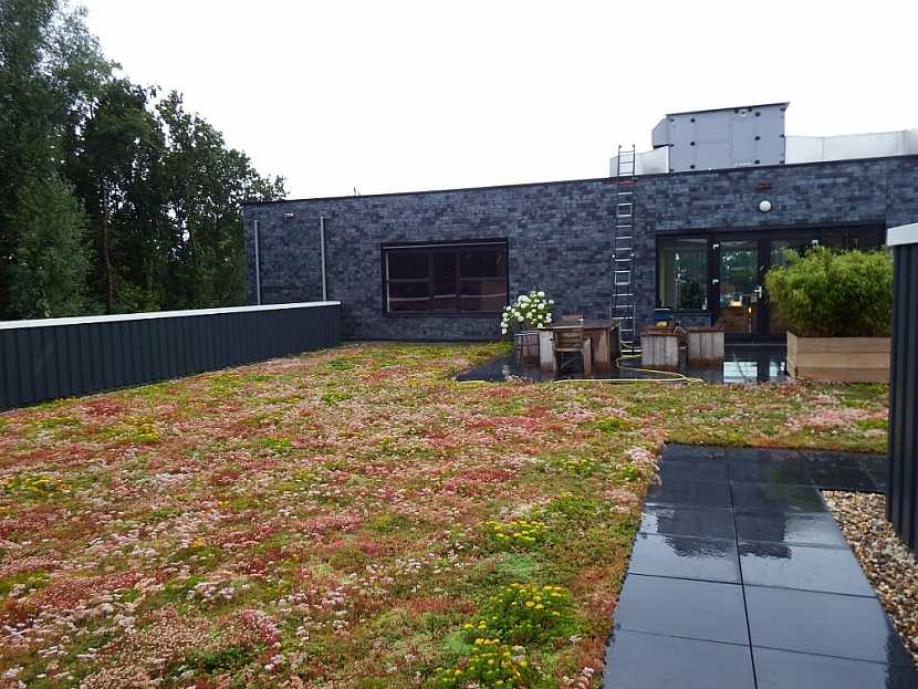 Zelené střechy přispívají k tepelnému komfortu uvnitř domů, zlepšují klima měst, zadržují srážkovou vodu i prachové částice a prodlužují životnost střechy.