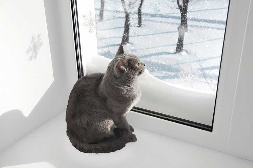 Před nastávající zimou je třeba učinit opatření, která zabrání únikům tepla a sníží tak náklady na vytápění – zejména okny může teplo odcházet.