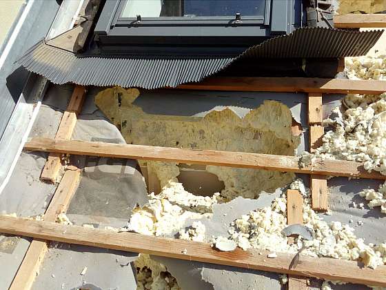 Kuna dovede napáchat ve střeše velké škody (Zdroj: STAVBY POLNÁ s.r.o.)