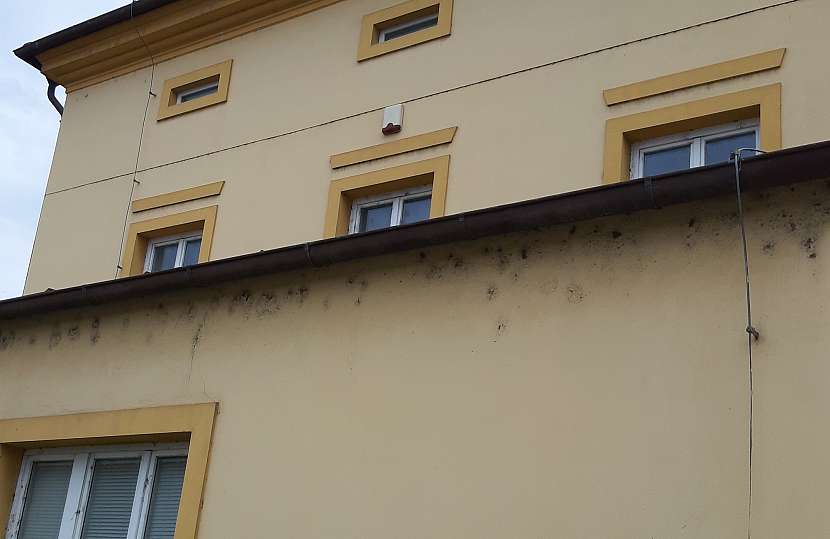 Fasádě škodí ptáci i malý pavouk (Zdroj: Divize Weber, Saint-Gobain Construction Products CZ a.s.)