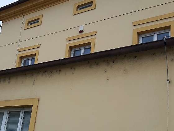 Fasádě škodí ptáci i malý pavouk (Zdroj: Divize Weber, Saint-Gobain Construction Products CZ a.s.)